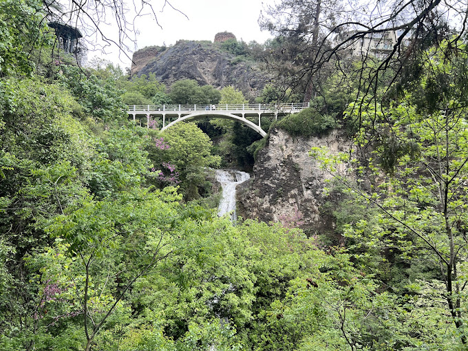 ბოტანიკური ბაღი